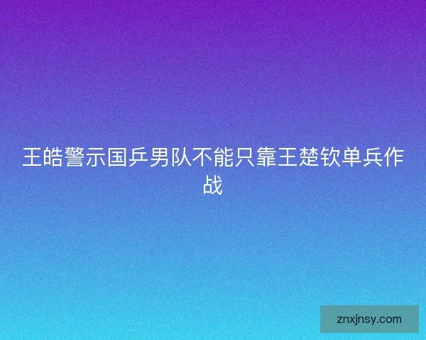 王皓警示国乒男队不能只靠王楚钦单兵作战